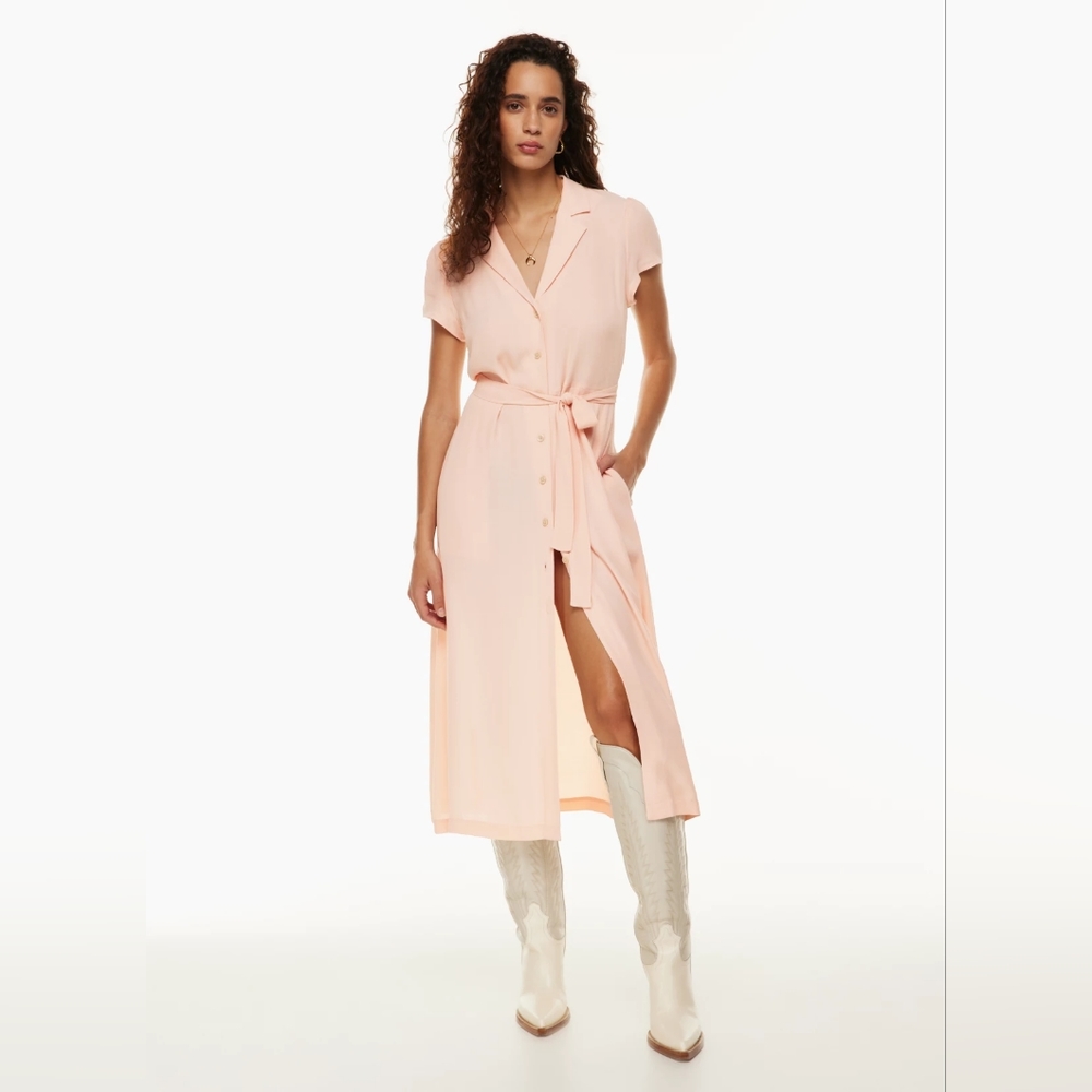 Wilfred Shirt Dress